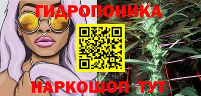 apvp Краснодар