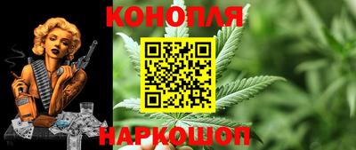 apvp Краснодар