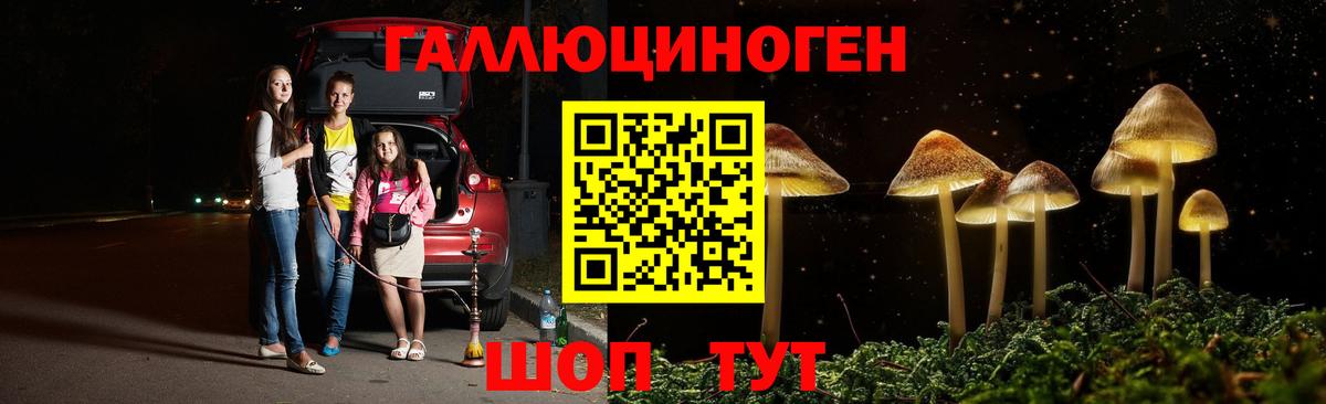 Галлюциногенные грибы GOLDEN TEACHER  Галлюциногенные грибы мицелий  сколько стоит  Вход с VPN  Казань 